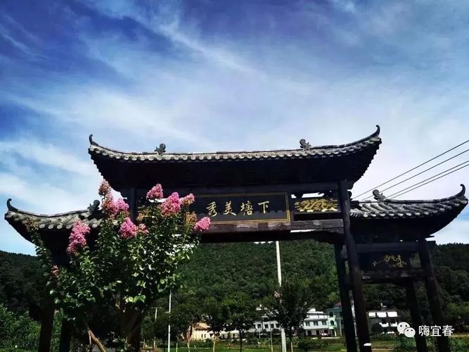 宜春秘境 水中荷花、山中奇石與禾雀花，這個小村莊憑什么名聲鵲起？